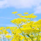 当事業所の特徴